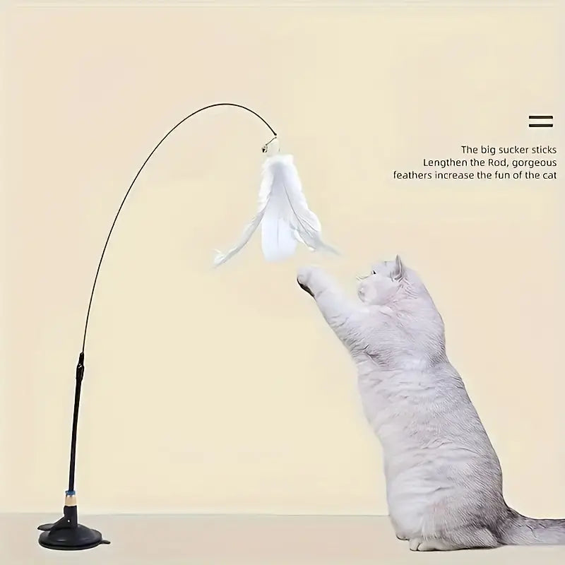 Cat toy