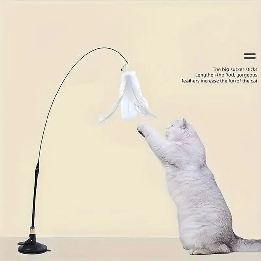 Cat toy